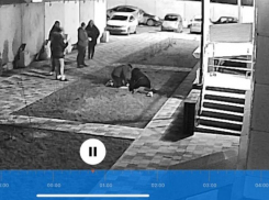 Выпавшая с 16 этажа девушка умерла в воронежской больнице