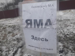 Под Воронежем главу поселения наглядно пристыдили за ямы на дорогах