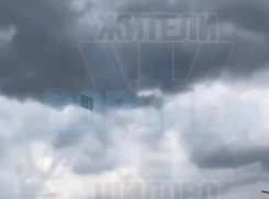 Внезапная пикирующая опасность на детской площадке попала на видео в Воронеже