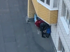 Идеальное место для прогулки на самоизоляции нашли воронежцы