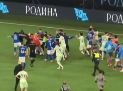 Опубликовано видео массовой драки сразу после матча воронежского «Факела» и «Родины»