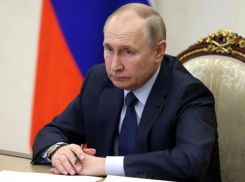 Владимир Путин поучаствует в открытии отремонтированного участка трассы в Воронежской области  