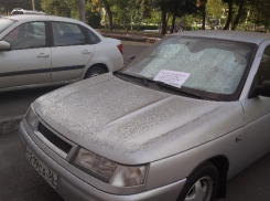 Дорожники оставляют послания на лобовых стеклах воронежских авто