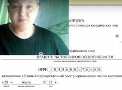Блогер назвал правительство Воронежской области американской фирмой