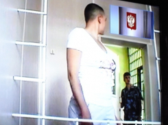 Воронежский облсуд не удовлетворил апелляционную жалобу правозащитников Савченко (ФОТО)