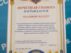 Воронежец, который снял на видео свой провал под лед, получил уникальную грамоту от МЧС