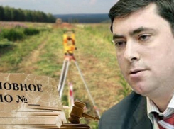 В зеленый «огород» вокруг Воронежа пустили Максима Увайдова