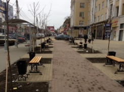 На воронежские улицы возвращаются мусор и грязь (ФОТО)