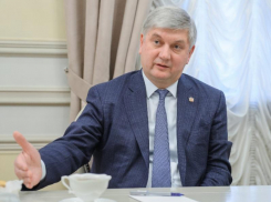 Воронежский губернатор Гусев узаконил налоговые льготы для нескольких владельцев электромобилей