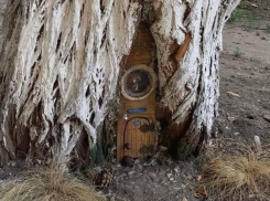 Гном по имени Жора поселился в воронежском дворе