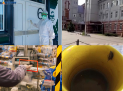 Коронавирус в Воронеже 7 августа: 25 смертей, штраф «Хозяюшке» и тараканы в больнице 