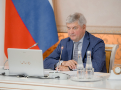 Чиновники массово не исполняют рекомендацию воронежского губернатора