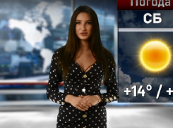 Весеннее тепло ворвется в Воронеж на выходных 