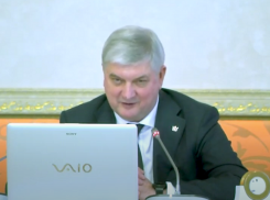 Воронежский губернатор высмеял «бравых вояк» из Украины, «минирующих» школы и больницы