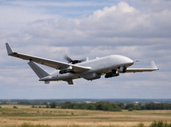 Общее число сбитых в Воронежской области БПЛА уточнил губернатор