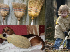 Воронеж очистят 3 тысячи уборочных машин