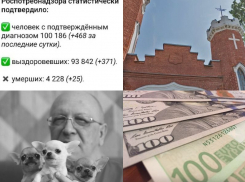 Коронавирус в Воронеже 23 июля: +25 смертей отмена двух фестивалей и правительственный миллиард