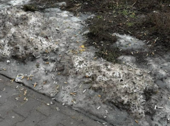 «Пора уже доносы делать»: воронежца прорвало на гнев после увиденного во дворе