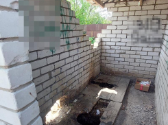 Общественный туалет для тех, кому нечего скрывать, нашли под Воронежем 
