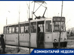 Убийц муниципального транспорта назвала экс-депутат Воронежской гордумы