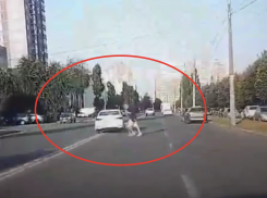 Как не надо переходить дорогу, наглядно показали в Воронеже 