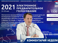 Сейчас за фальсификацию выборов не расстреливают, - эксперт о выдвижении Алексея Гордеева