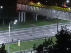 Пугающее поведение посреди проезжей части попало на видео в Воронеже