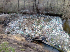 В Воронеже организация «Greenpeace» проведет выставку «Ноль отходов»