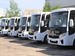 Партию из 30 новых низкопольных автобусов получит Воронеж
