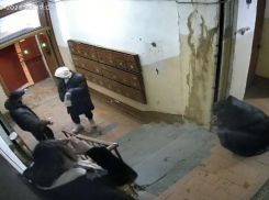 «Кладоискатели» устроили погром в подъезде воронежского дома 