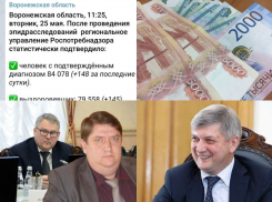 Коронавирус в Воронеже 25 мая: +15 смертей, выбросы с завода и оплачиваемый выходной для привитых