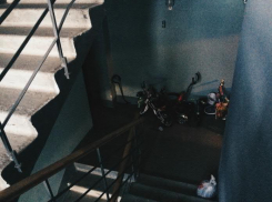  Новые подробности чудовищной расправы над воронежской семьей: малыш чудом остался в живых