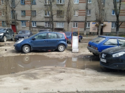 Детскую площадку превратили в игру на выживание в Воронеже