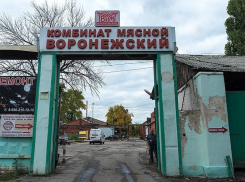 Мясокомбинат на Ворошилова в Воронеже юридически ликвидировали