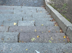 «Будет предоставлять большую опасность»: почему нет пандусов в воронежском парке, откровенно рассказали чиновники 