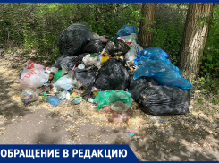 Нерасторопность коммунальщиков показали на примере импровизированной свалки в Воронеже 