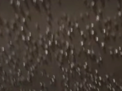 Толка от УК ноль: адская парилка образовалась в воронежской многоэтажке