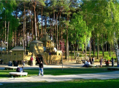 Воронежскими парками занялись вплотную: в пяти из них нашли множество нарушений