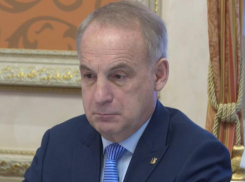 Задача общегосударственная: чем будет заниматься новый воронежский вице-губернатор Лотков