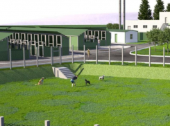 Проект первого воронежского муниципального приюта для собак продемонстрировали на фото 