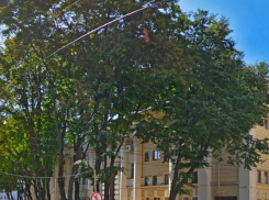 В правительстве прокомментировали изменение зоны сквера у оперного театра в Воронеже