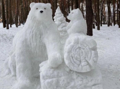  Снежные медведи появились в воронежском «Дельфине»