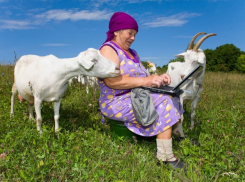 В 2015 году в селах Воронежской области появится Интернет