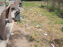 «Красоту» сквера продемонстрировали на фото жители Воронежа