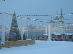 О более позднем открытии ледового катка на Адмиралтейской площади предупредили воронежцев