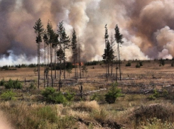 В Воронеже  Авиадартс могли зажечь китайские бомбы