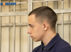  Эксперт высказался о резонансном ДТП с вылетевшим с эстакады пешеходом в Воронеже