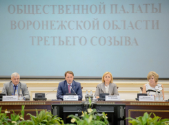Журналисты предложили председателю Общественной палаты Воронежской области инициировать отставку Ильи Сахарова 