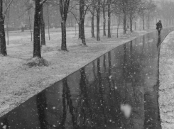 В Воронеже всю неделю будет около 0 °С и снег с дождем 