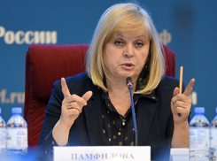 В Воронежской области «прокатили» Эллу Памфилову с видеонаблюдением на выборах